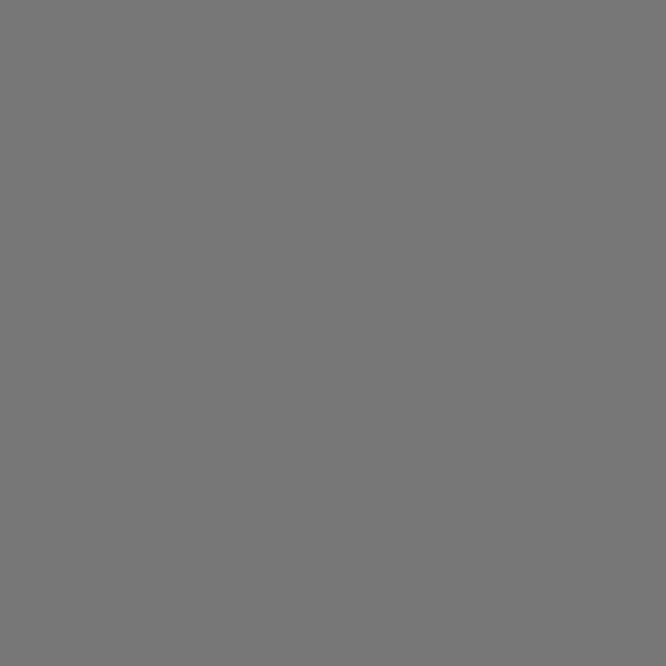Covercraft 15-24 Ford Transit Endura PrecisionFit Custom Front Row Seat Covers - Silver/Silver thumbnail 2