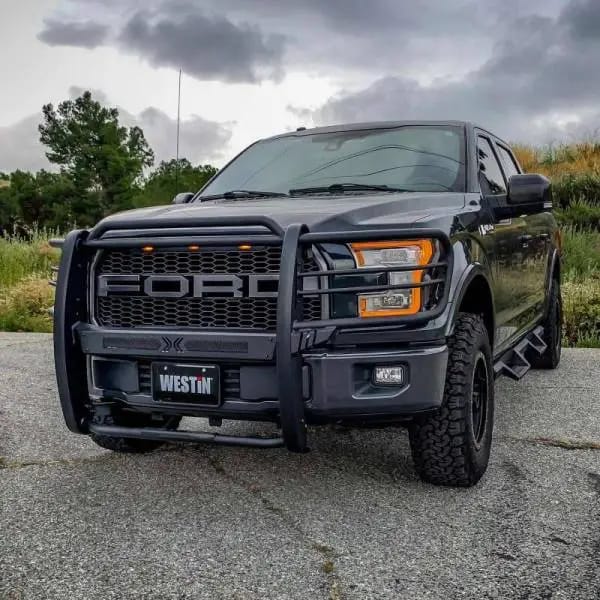 Westin 15-20 Ford F150 Sportsman X Grille Guard - Textured Black thumbnail 3