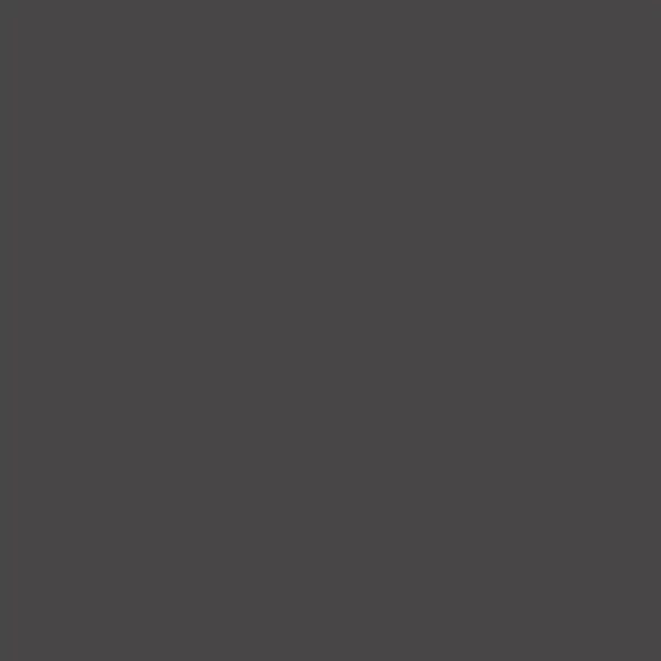 Covercraft 04-09 Dodge Ram Waterproof Polyester SeatSaver Custom Second Row Seat Covers - Grey thumbnail 2