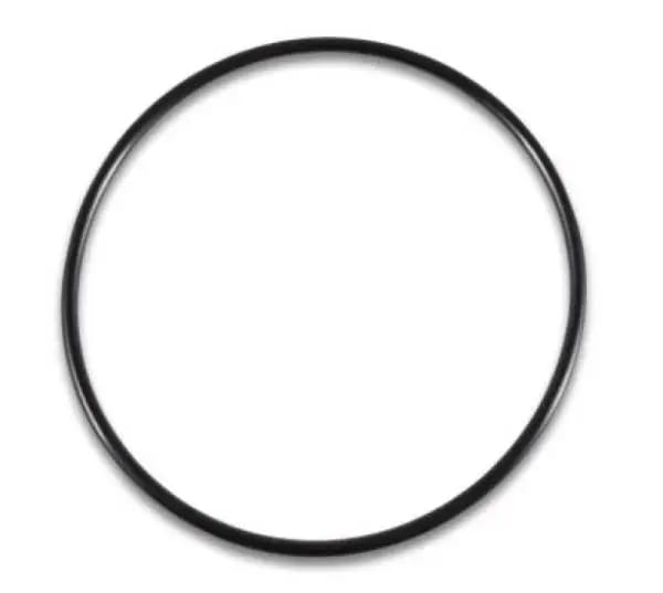 Vibrant Replacement O-Ring for Part #14942 thumbnail 3