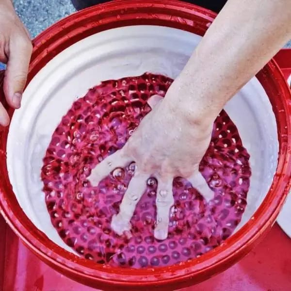 Chemical Guys Cyclone Dirt Trap Car Wash Bucket Insert - Red thumbnail 5